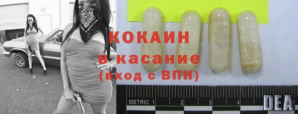 крисы Гусев