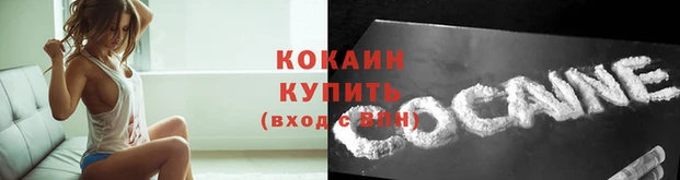 соль ск Гусиноозёрск
